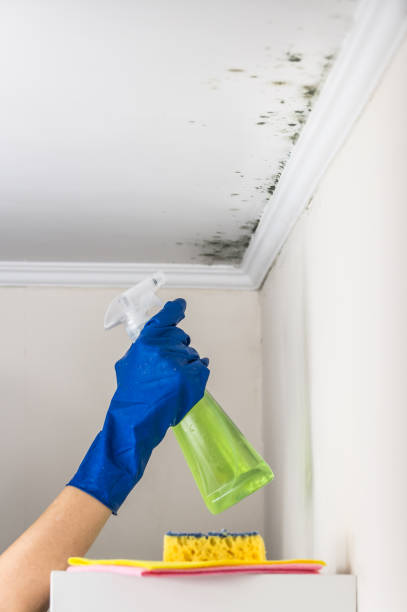 Water Damage Restoration in Wheeler Af, HI